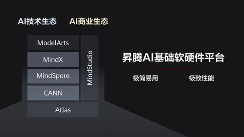對(duì)話華為昇騰 我們要做AI領(lǐng)域最后一個(gè)吃蛋糕的人